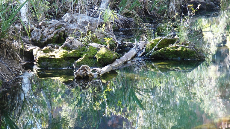 Im Lawn Hill Nationalpark